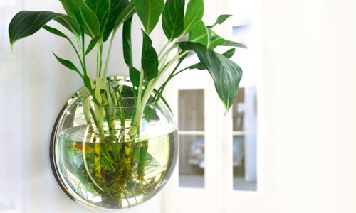 Аквариум чебоксары