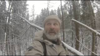 Охота на Куницу Ноябрь 2015г Тугай Тунгус(, 2015-11-21T17:21:44.000Z)