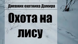 как охотится капканами на куницу видео