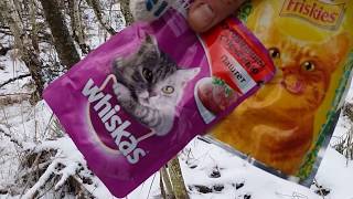 проверка капканов. охота на куницу. trapping(пахучая приманка не сработала. но может вискас сгодится в качестве пахучки. проверка капканов была не удачн. 2016-12-19T18:55:48.000Z)