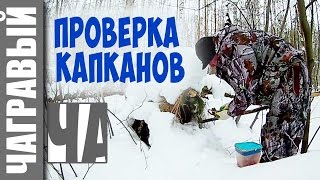 Проверка капканов. Новая камера. Были ли зайцы?(Выбрался на ближний путик проверить капканы, а заодно побренчать новой видео-камерой. Камера новая EKEN H9. 2017-01-26T04:34:50.000Z)