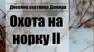 Охота на норку с помощью капкана (Способ 2)(НА КАНАЛЕ НЕ ПУБЛИКУЮТСЯ СЦЕНЫ НАСИЛИЯ! Я ЗА ОХОТНИЧИЙ ЭТИКЕТ! В данном видео показан процесс установки. 2017-01-08T09:51:50.000Z)