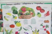 Тема: &laquo;Витамины нам нужны - для здоровья всем важны&raquo; Формы организации совместной