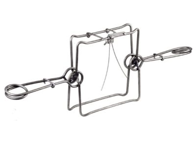 проходной капкан на барсука