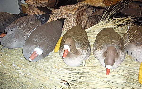 Охота на гуся осенью, как чучела гуся выбрать