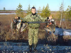 Гусь с тундры пошёл