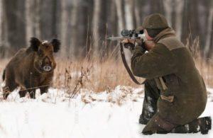 Охота на кабана зимой