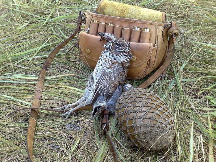 лучшее время охоты на рябчика осенью