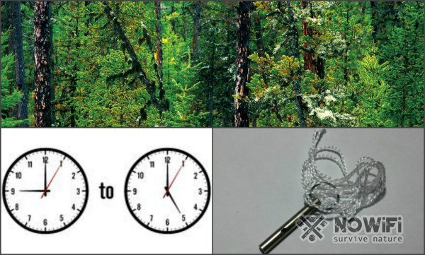 где охотиться на рябчика