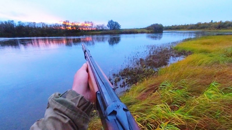 Охота на уток с подхода - простой способ охоты, который доступен даже начинающим охотникам