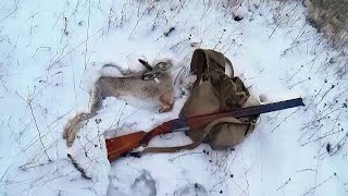 Охота на зайца троплением после пороши(На видео охота на зайца троплением. Как правильно тропить зайца. Идя по следу зайца охотник не должен наступ. 2016-01-14T21:08:34.000Z)