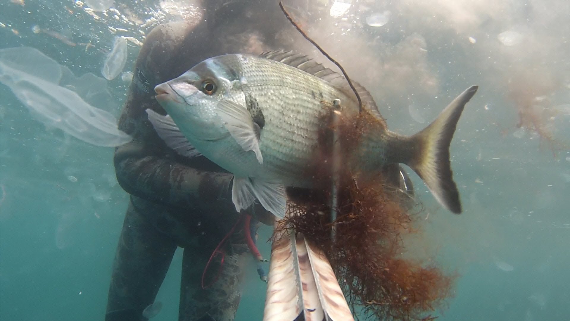 Пойманная рыбка