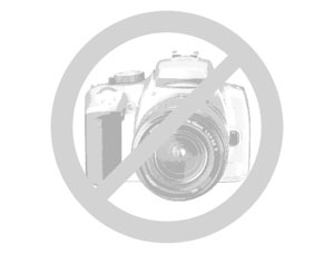 Как охотиться на кабана?