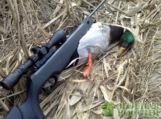 Новости от охотников, с пневматикой на уток