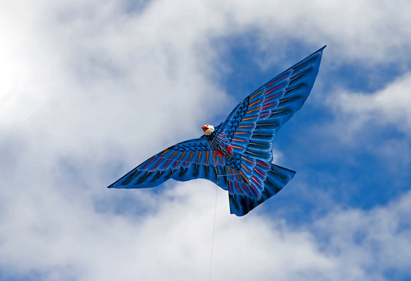 Воздушный змей для охоты на куропатку