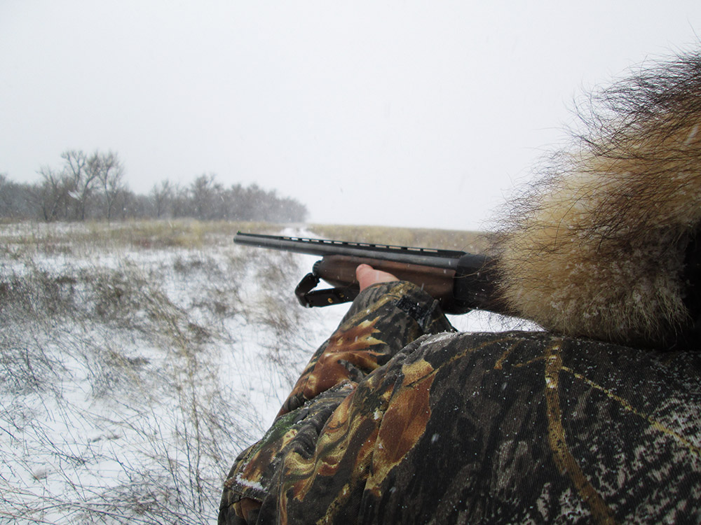 Стрельба по куропаткам