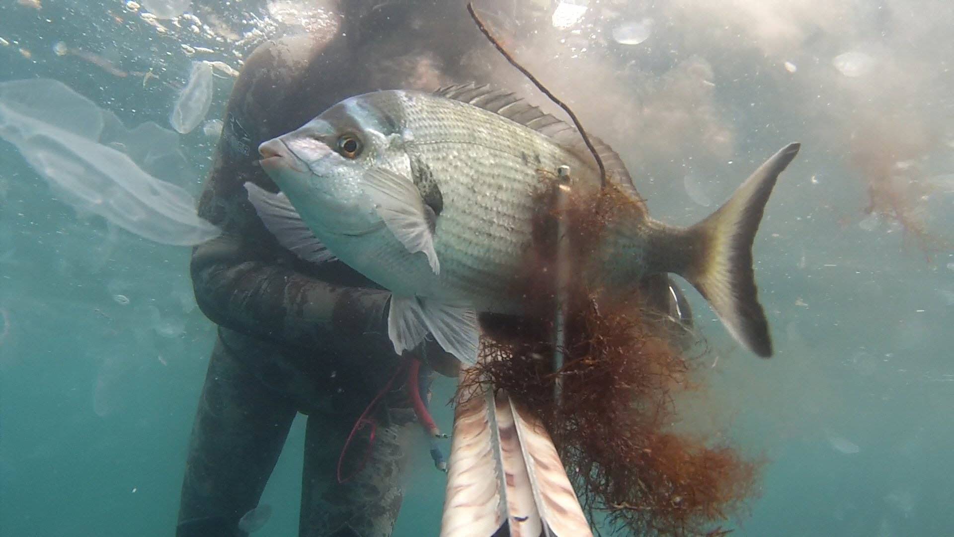 Пойманная рыбка