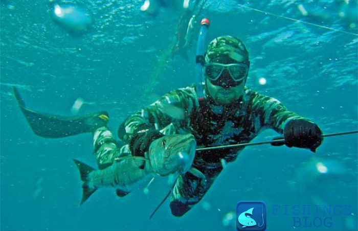 техника сплав