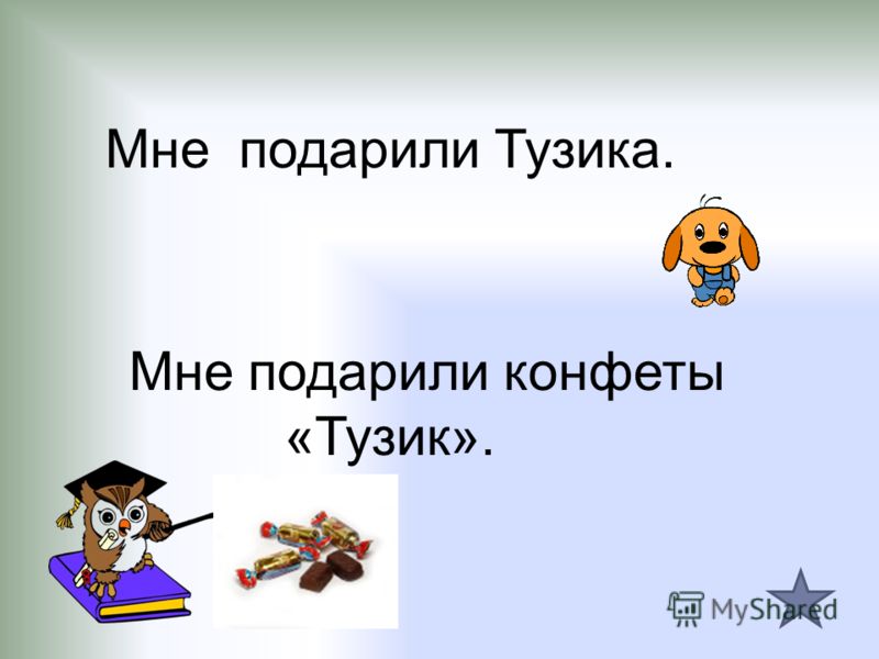 Мне подарили Тузика. Мне подарили конфеты «Тузик».