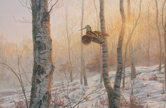 Как охотятся на вальдшнепа осенью