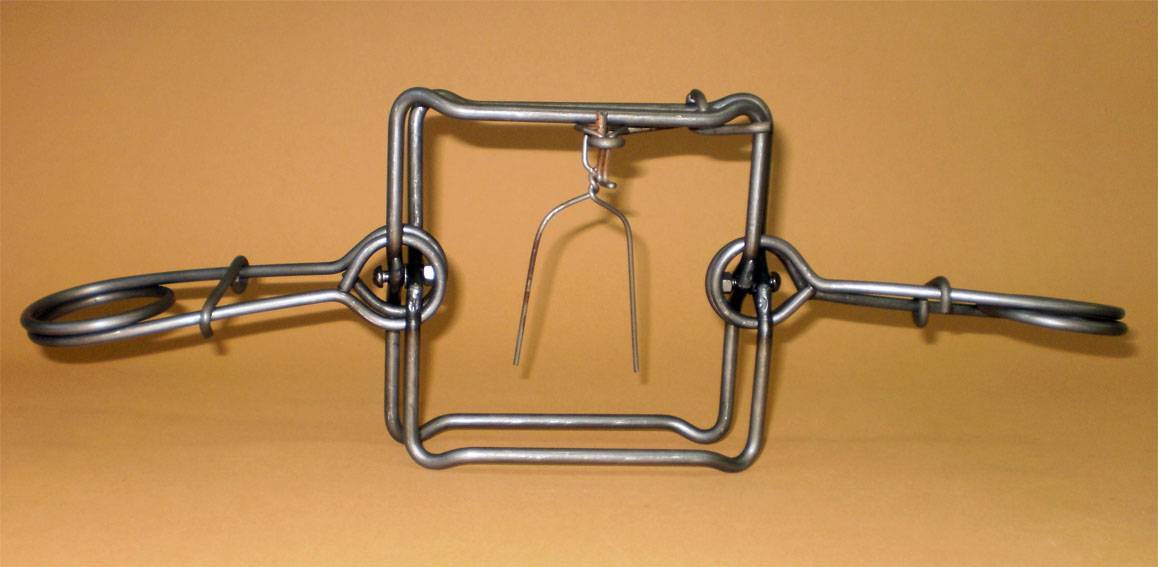 Как избавиться от хорька