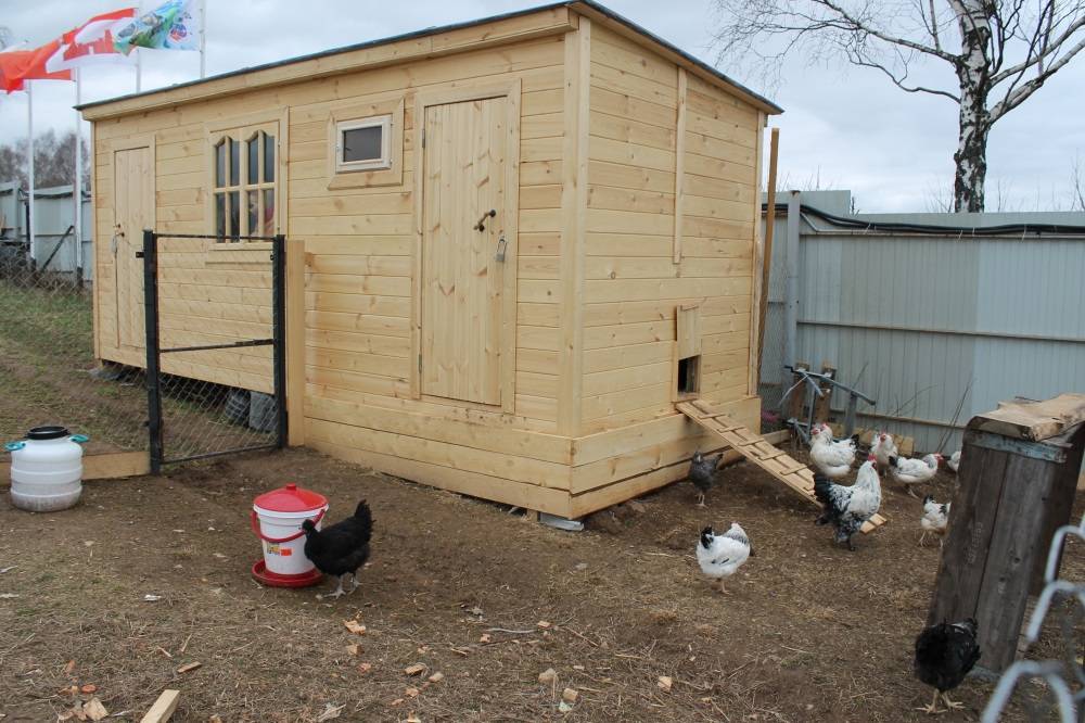 Как предотвратить уничтожение птиц