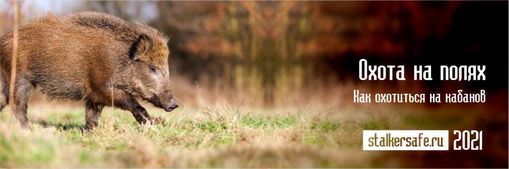 Охота на полях