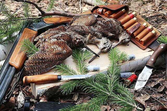 Успешная охота на высыпках