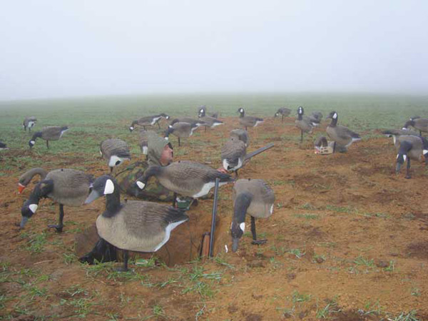 профили на поле