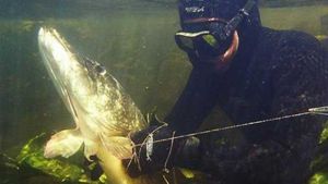 Подводная охота на щуку