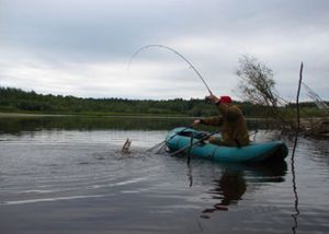 В чем секрет ловли щуки на спининг