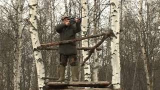 Охота с Леонидом Костюковым. Загонная охота на лося в Ярославской области. часть 1(, 2013-07-15T12:24:30.000Z)