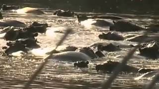 Меткий Выстрел (Охота и рыбалка)(Поддержите нас, поставьте лайк и подпишитесь на канал☆ ▭▭▭▭▭▭▭▭▭▭ ▭▭▭▭▭▭▭▭▭▭. Индивидуальны. 2015-04-04T09:23:08.000Z)