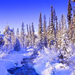 Диктанты на тему "Зима" для 5 класса