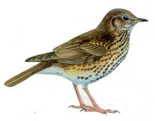 click for enlarge 614 X 478 17,5 Kb picture