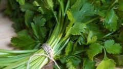 Как вывести кадмий из организма