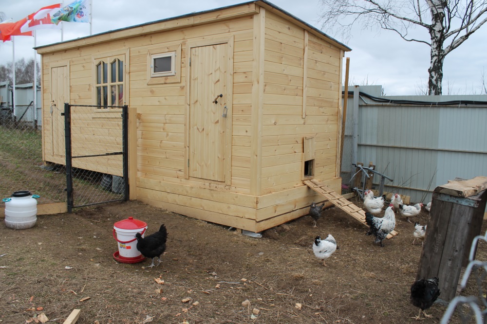 Как предотвратить уничтожение птиц