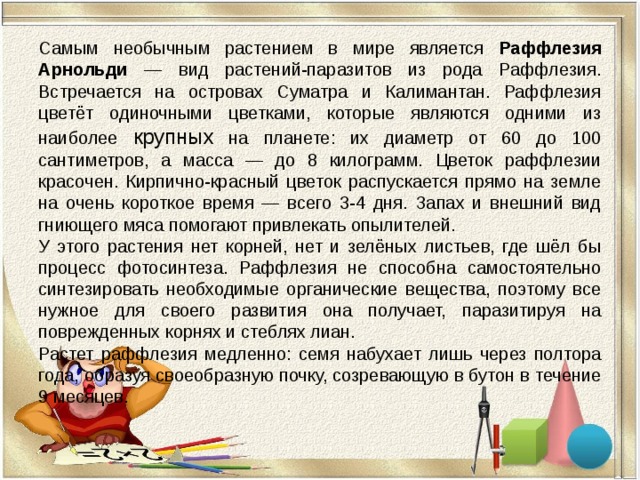 Самым необычным растением в мире является Раффлезия Арнольди — вид растений-паразитов из рода Раффлезия. Встречается на островах Суматра и Калимантан. Раффлезия цветёт одиночными цветками, которые являются одними из наиболее крупных на планете: их диаметр от 60 до 100 сантиметров, а масса — до 8 килограмм. Цветок раффлезии красочен. Кирпично-красный цветок распускается прямо на земле на очень короткое время — всего 3-4 дня. Запах и внешний вид гниющего мяса помогают привлекать опылителей. У этого растения нет корней, нет и зелёных листьев, где шёл бы процесс фотосинтеза. Раффлезия не способна самостоятельно синтезировать необходимые органические вещества, поэтому все нужное для своего развития она получает, паразитируя на поврежденных корнях и стеблях лиан. Растет раффлезия медленно: семя набухает лишь через полтора года, образуя своеобразную почку, созревающую в бутон в течение 9 месяцев.