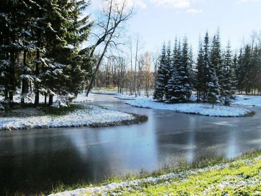 Зазимок :: Самохвалова Зинаида - Социальная сеть о фотографии ФотоКто