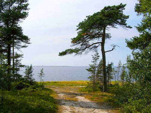 Я.ру закрыт