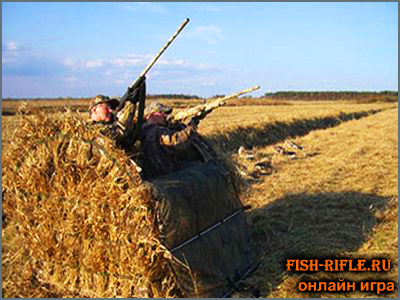 Охота на гуся