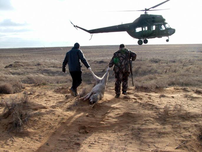 охота на волков