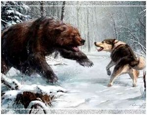 Как правильно научить собаку лайку охотиться