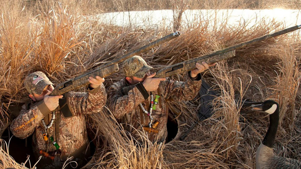 охота на гуся