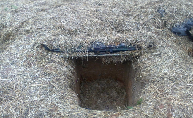 засидка для гуся