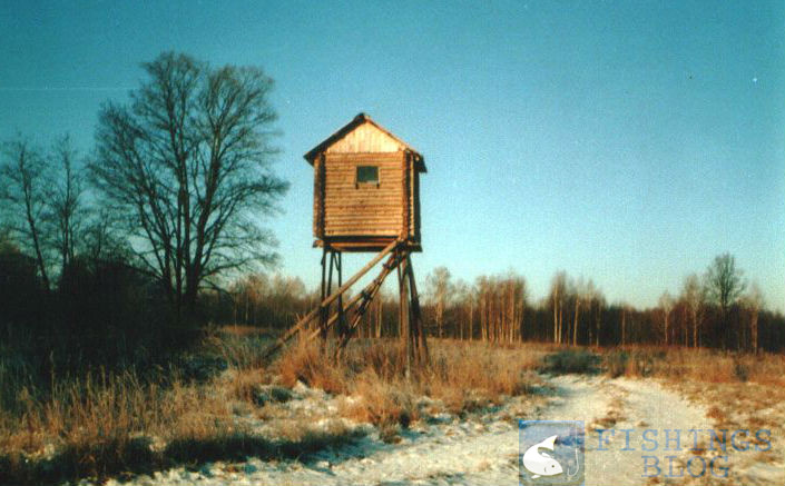 охота на кабана с вышки