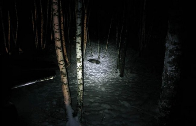 Охота на кабана с фонарем