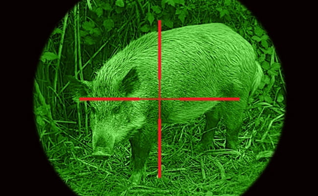 Прибор ночного видения