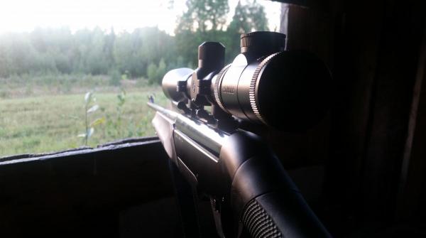 Охота из засады