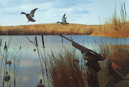 Охота на пернатых